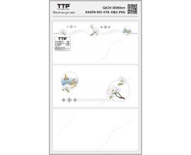 TTP-36851D