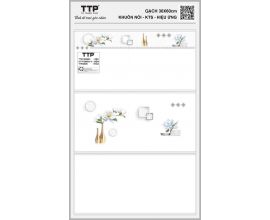 TTP-38650D