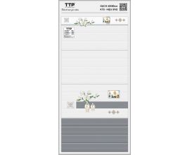 TTP-48604