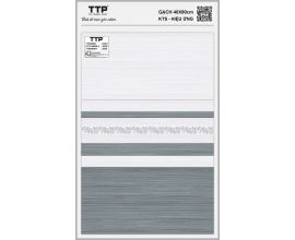 TTP-48608