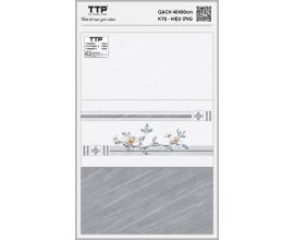 TTP-48607