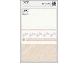 TTP-48605