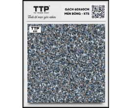 TTP-608