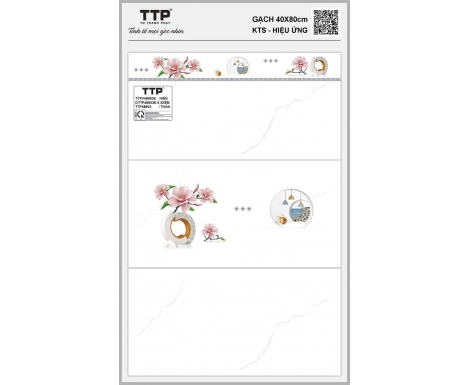 TTP-48603