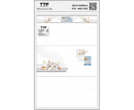  TTP-48602